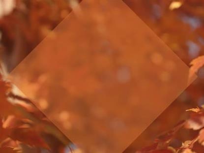 FALL FOCUS CLOSEUP DIAMOND