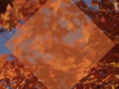 FALL FOCUS GOLDEN ORANGE DIAMOND