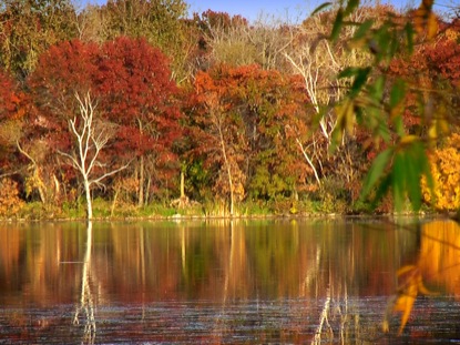 FALL FOOTAGE AUTUMN LAKE