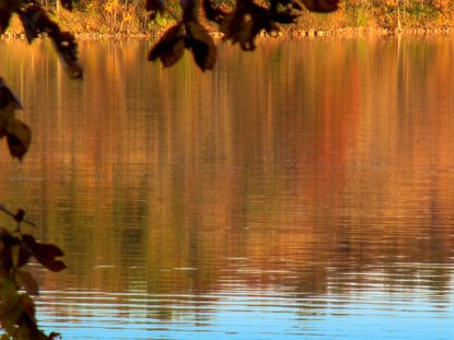 FALL FOOTAGE LEAVES LAKE