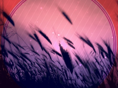 FALL HARVEST FAST BARLEY