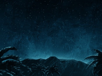 HOLY NIGHT MOUNTAIN PALMS