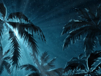 HOLY NIGHT STAR PALMS