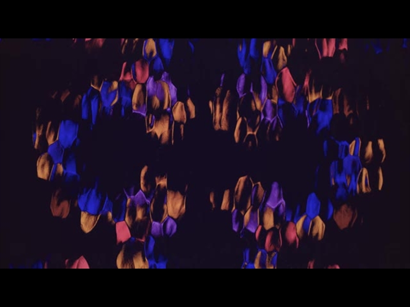 LUCENT FADING FLOWERS