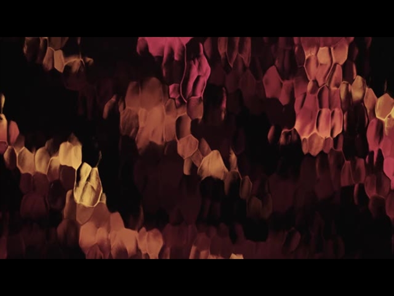 LUCENT RED ORANGE FADE