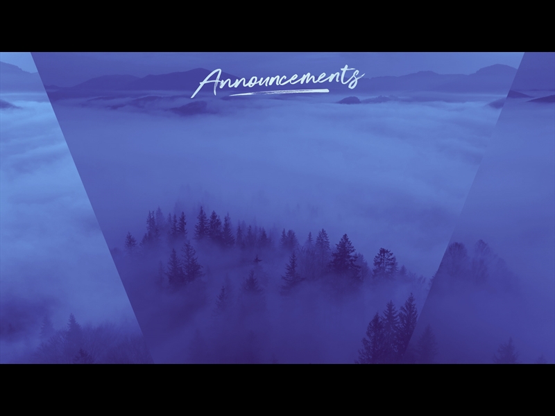 MISTY PINES ANNOUNCEMENTS