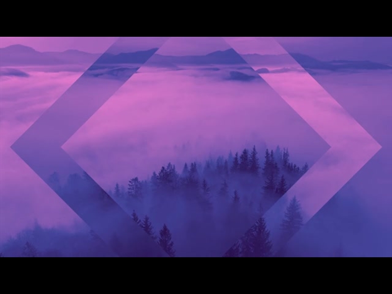 MISTY PINES PURPLE BLUE