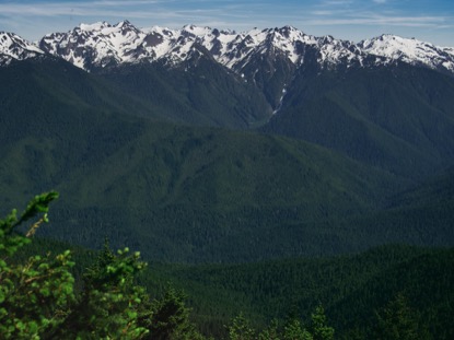 MOUNTAIN PINES MAJESTIC PEAKS