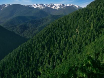 MOUNTAIN PINES VALLEY