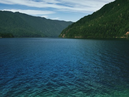 MOUNTAIN PINES VIBRANT LAKE