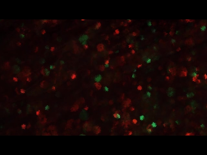 PAINT CANVAS CHRISTMAS LIGHTS