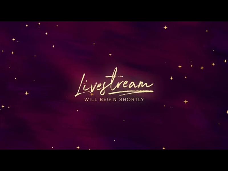 PAINT CANVAS LIVESTREAM STARS