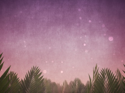 PALM SUNDAY BRANCHES PURPLE