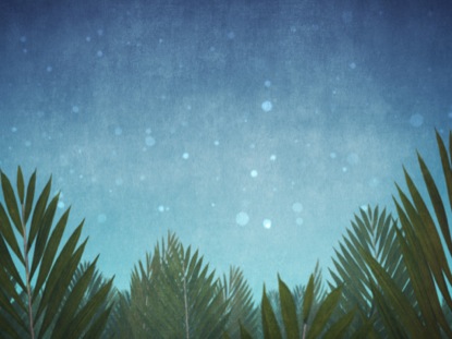 PALM SUNDAY EPIC SCROLLING