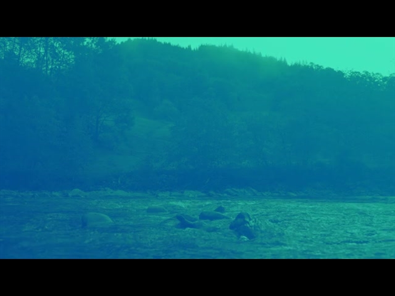 RIVER ROCKS BLUE GREEN HILLS