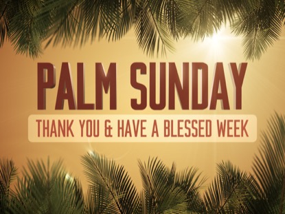 SKY VIEW PALM SUNDAY THANKS