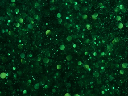 SNOWGLOBE EMERALD DUST