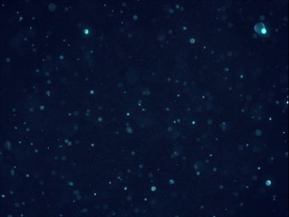 SNOWGLOBE ULTRA SLOW BLUE