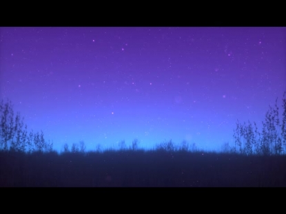 SUMMER FIREFLIES BLUE PURPLE FIELD