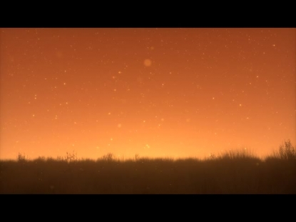 SUMMER FIREFLIES GOLDEN FIELD