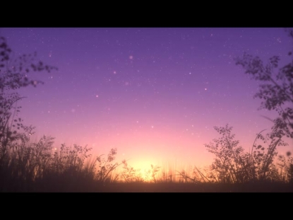 SUMMER FIREFLIES GOLDEN SUNSET