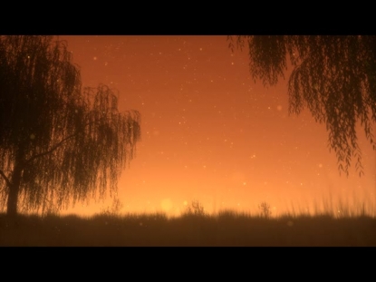 SUMMER FIREFLIES GOLDEN WILLOW