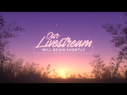 SUMMER FIREFLIES LIVESTREAM