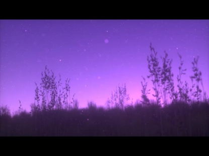 SUMMER FIREFLIES PINK FIELD