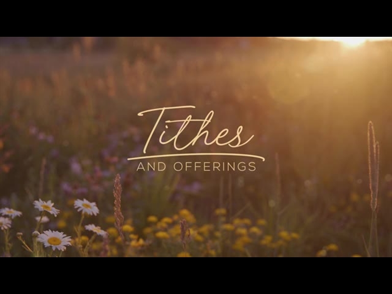 Tithes And Offering Songs For Church With Lyrics Summer Wildflower Tithes Offering | Motion Worship | WorshipHouse Media