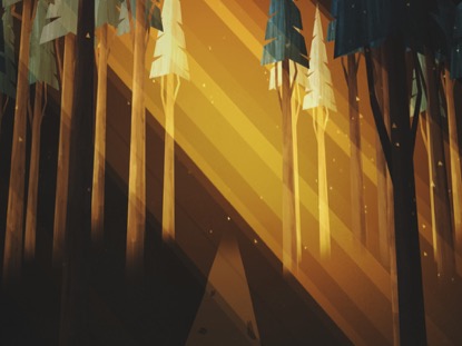 WINTER LIGHT FOREST RAYS