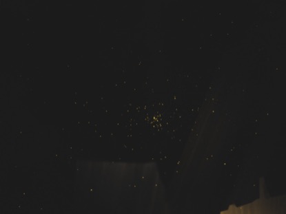 WINTER LIGHT GOLDEN DUST