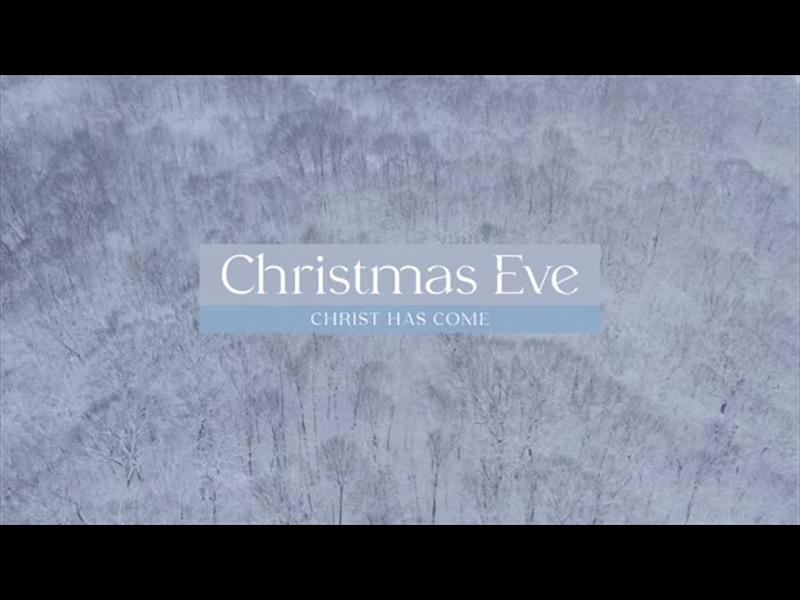 WINTER WOODS CHRISTMAS EVE