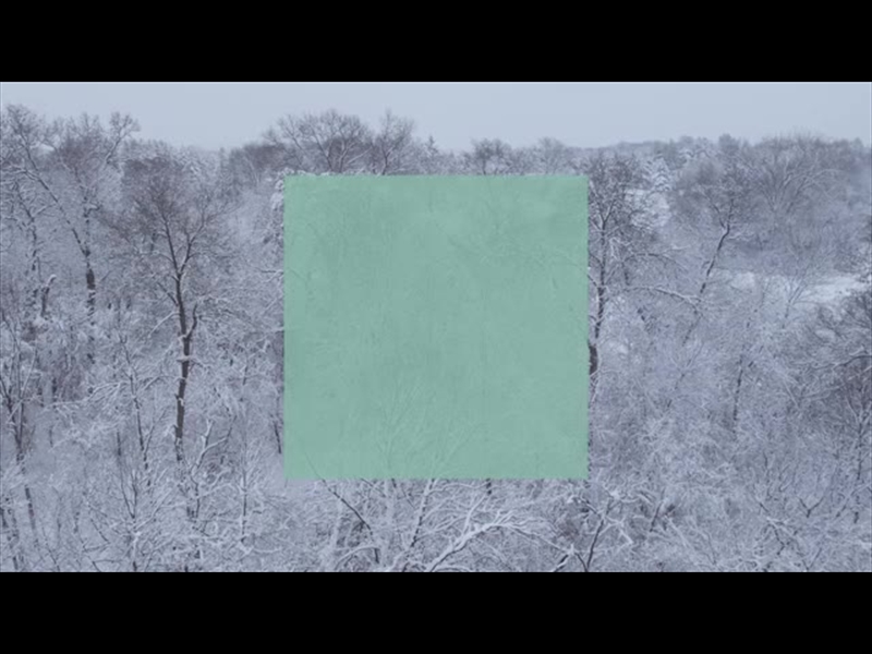 WINTER WOODS CLOSE TREES SQUARE