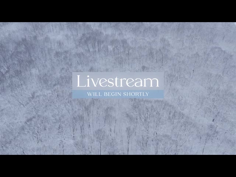 WINTER WOODS LIVESTREAM