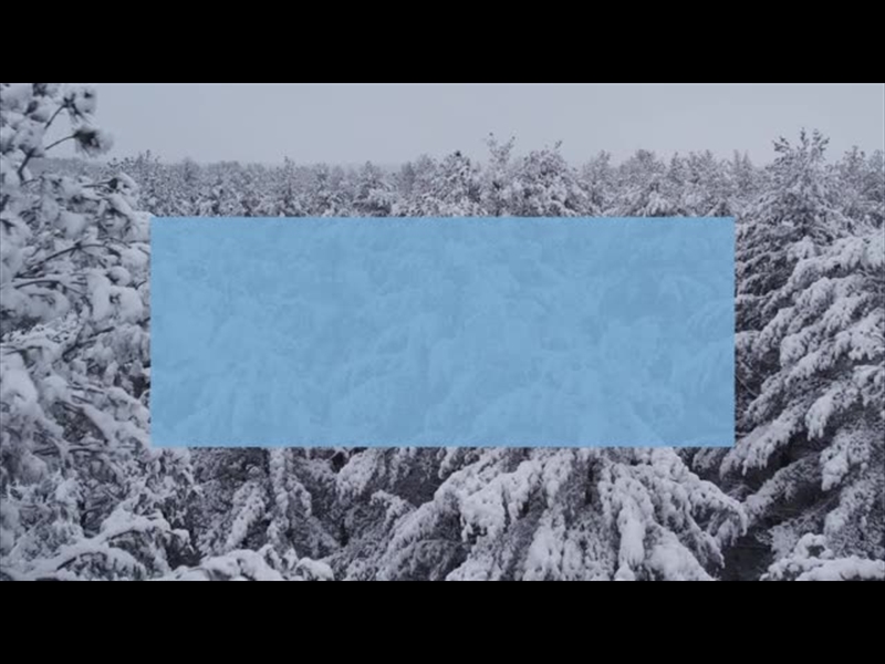 WINTER WOODS PINE PEAKS RECTANGLE