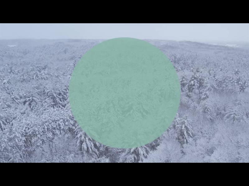 WINTER WOODS REVERSE AERIAL CIRCLE