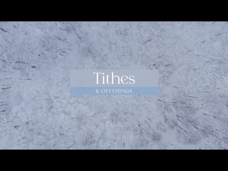 WINTER WOODS TITHES