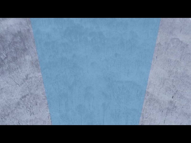 WINTER WOODS WIDE TREES TRAPEZOID