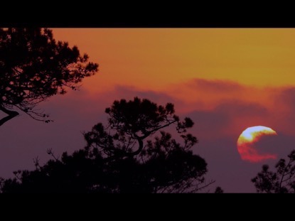 African Sunset Over Trees | Music Truth | WorshipHouse Media