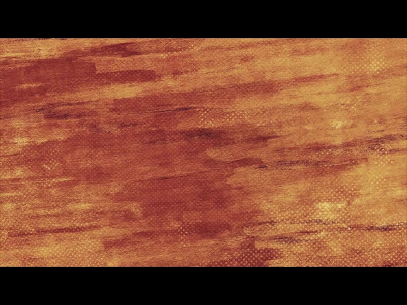 EASTER BRUSH ORANGE BACK