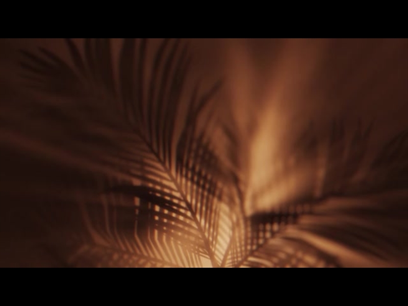 HOLY WEEK COPPER PALM