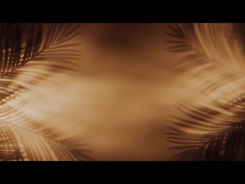 HOLY WEEK COPPER PALMS