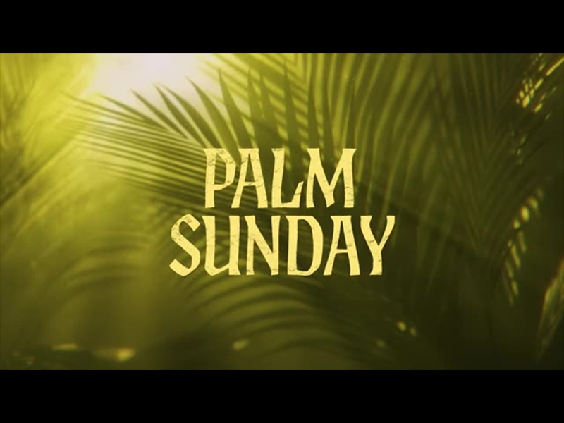 HOLY WEEK PALM SUNDAY TITLE