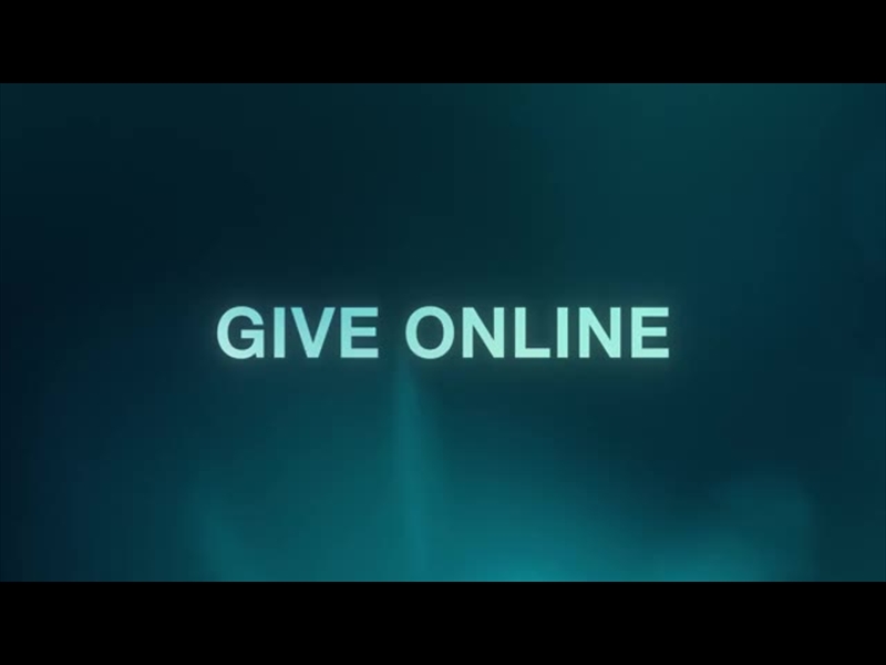 SCATTERED LIGHTS GIVE ONLINE