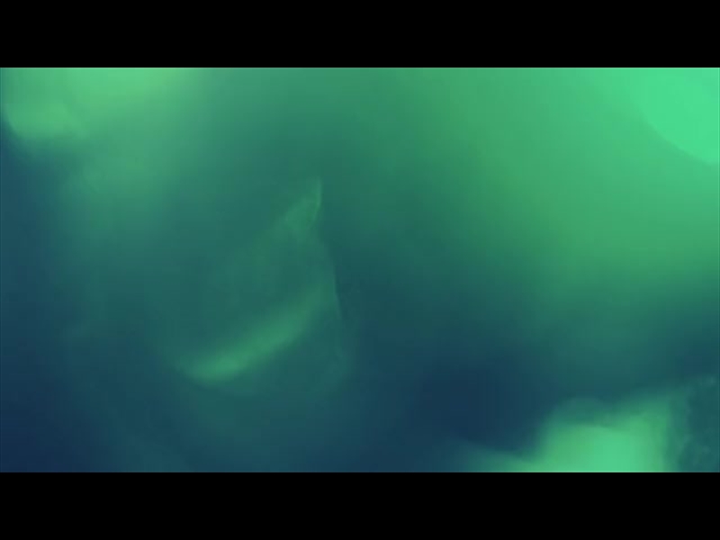 SCATTERED LIGHT TEAL FLARES