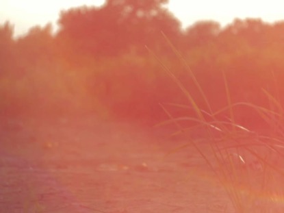 HIGH FASHION NATURE 2