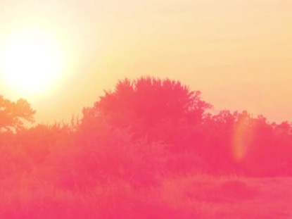 HIGH FASHION NATURE 5