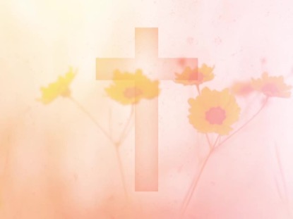 HIGH FASHION NATURE 6 WITH CROSS