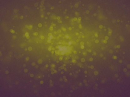 CROSS PROCESSED ROTATING PARTICLES