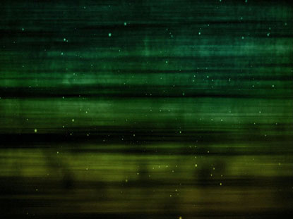 GREEN GOLD PARTICLE STREAKS